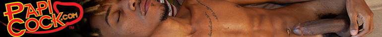 Banner 14